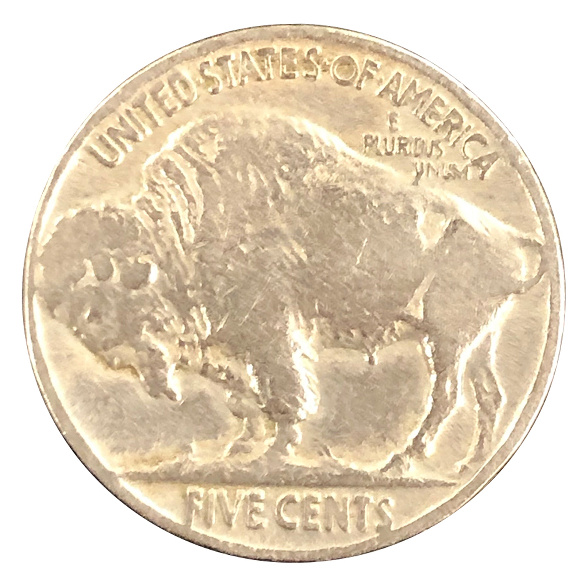 Bridle Leather Wallet with a Real U.S Buffalo Nickel