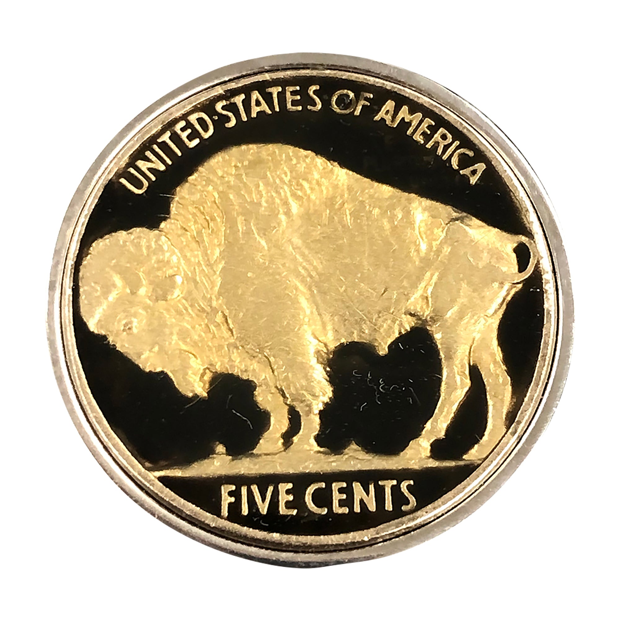 Enameled Buffalo Nickel Pendant with Real U.S. Buffalo Nickel